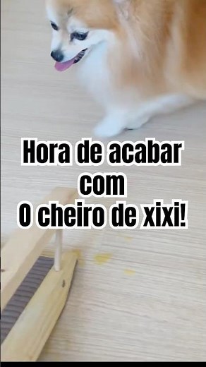 O SEGREDO PARA TIRAR CHEIRO DE XIXI💧 produtos baratinhos da Shopee 🐶#xixidecachorro