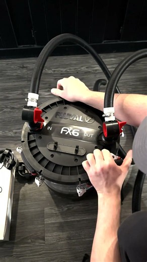 Setting Up a Fluval FX6 Canister Filter! 👏 #shorts