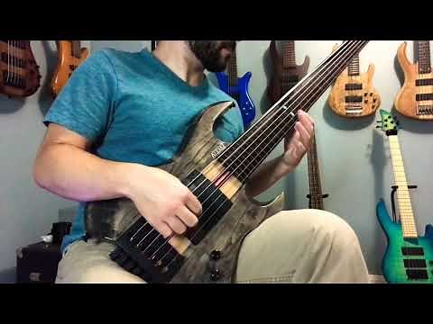 Kiesel Vader Fretless 6-String Bass