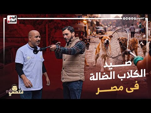 Inside the most dangerous mission on Egypt's streets... Stray dog ​​catchers reveal the truth #Fa...
