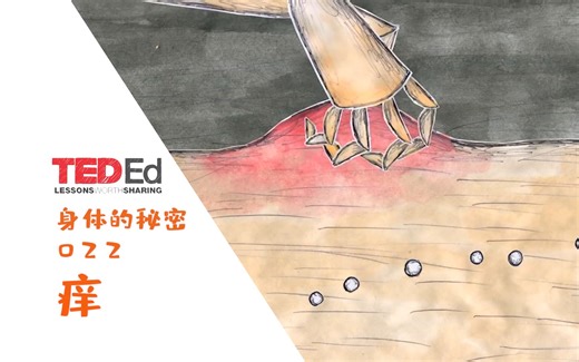 【中英双语】TED-Ed身体的秘密022痒