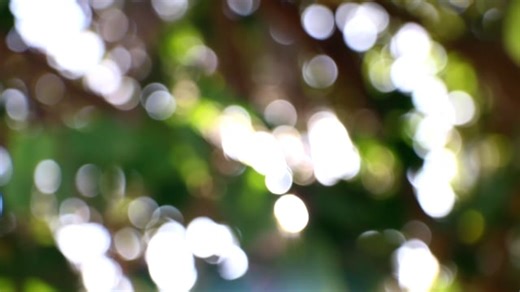 Fond Texture Vert - Free video on Pixabay