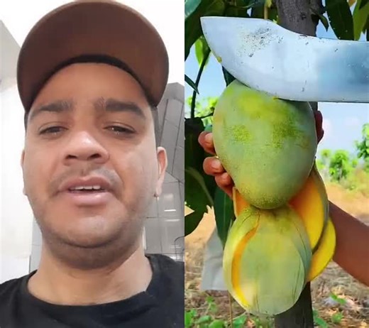 How to Cut Open a Ripe Mango Like a Pro