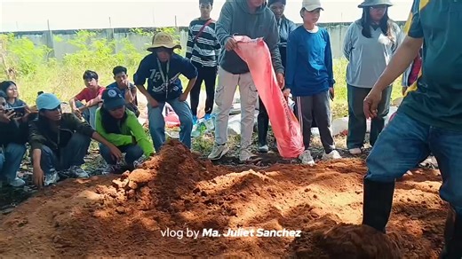 Turning waste into something valuable 🌱 This is the last part of our composting video activity where it demonstrates how biodegradable waste can be recycled into natural fertilizer, promoting environmental awareness and sustainable practices. Through our composting activity, we learned the value of proper waste management and its role in protecting the environment. #educationalcontent | Maria Juliet Kristine