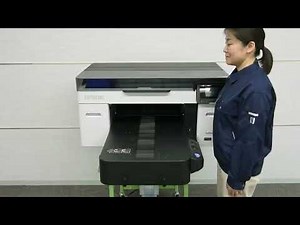 Epson SC-F2200 DTG Printer - Cleaning the Encoder Scale