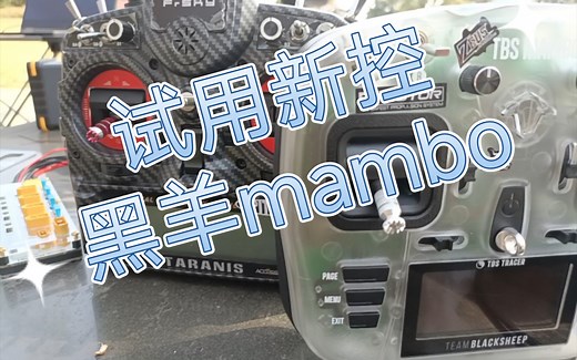 新控黑羊mambo到手，换透明壳后首次试用。手感细腻柔滑 不错好控