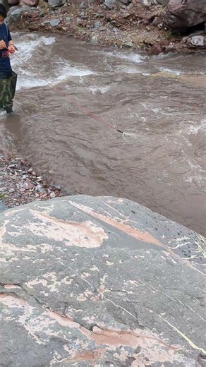 荒川の清流で山女魚を一網打尽にできるか？ 🐠