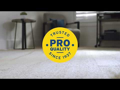 Zep Concentrated All-Purpose Carpet Extractor Shampoo