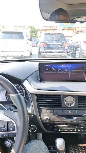 2019 Lexus RX350 Panoramic camera view.