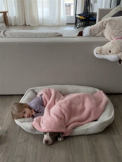 Kayla Knox on Instagram: "Miss Elsa had us worried this morning. Starting the day off with back to back vomiting. So off to the vet we went. Good news: ✅no skin conditions. Just allergies causing her skin to look how it does. ✅ white blood cell count has come down drastically. ✅ got the green light to start her deworming ✅ mastitis is clearing up perfectly ✅ negative for heartworm The not so good news: 💔 likely reacting to the medication or the dog food 💔 has an ear infection in both ears that