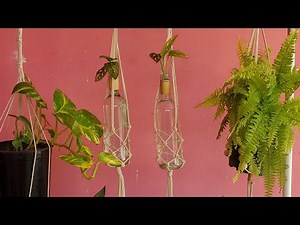 Easy D.I.Y Wine Bottle Plant Hangers | Macrame Plant Hanger Tutorial