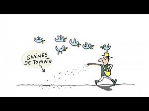 C'est quoi le bio ? - 1 jour, 1 question