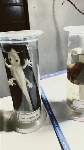 Biological specimen collection ##what is biological specimen!!