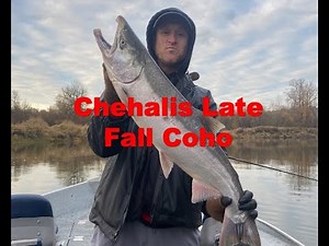 Chehalis Late Fall Coho! Spinners, Jigs and some tips on trip planning for Salmon and Steelhead