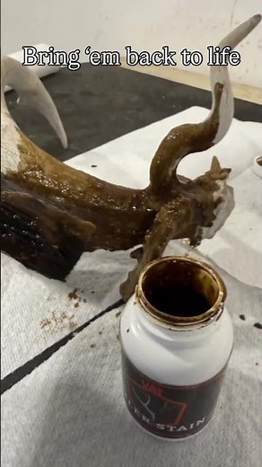 Best way to bring your sheds and deadheads back to life! ANTLER STAIN ‪@velvetantlertechnologies‬