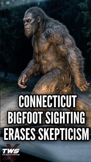 CONNECTICUT BIGFOOT SIGHTING ERASES SKEPTICISM #paranormalpodcast #podcast THE WEEKLY STRANGE