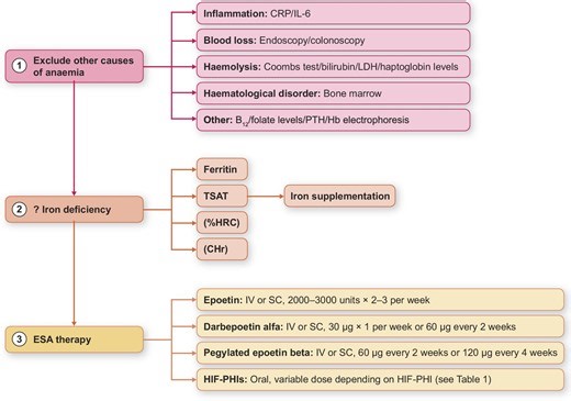 Anaemia in CKD—treatment standard