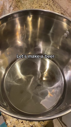 The Joy of Beer Making