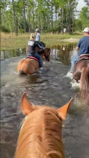 MY HORSE ROLLED ME RIGHT INTO THE LAKE! 😂