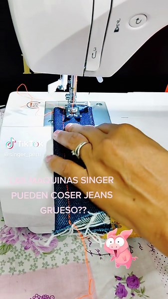 Singer Perú on TikTok