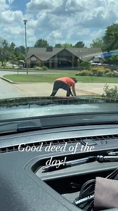 Helping a turtle cross the road safely! | LeAnne Taylor News On 6