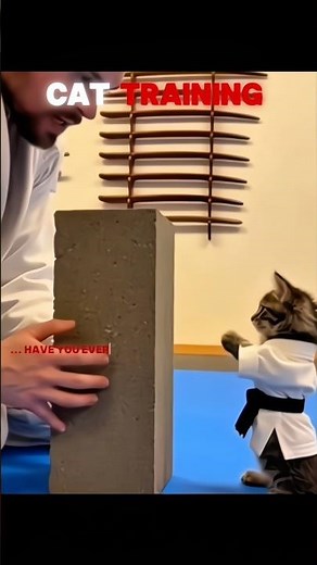 CATS TRAINING TROLL EDIT😈