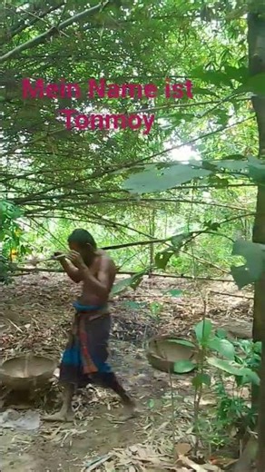 বাশকে চিনেরা সোনা বলে উল্লেখ করে,,,।।।।htttp,, viral. ,,, photo/ vdo,,,,,.highlight @