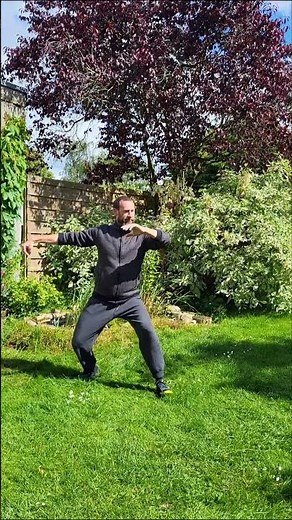 Tai Chi "4 Directions" 13) Single whip