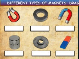 Magnets & Magnetism: Drag & Drop Worksheet: Google Slides+ Powerpoint Version | Teaching Resources