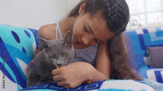 Young girl hand feeding her cute grey cat on a couch