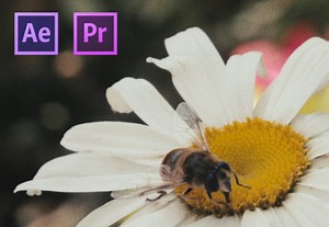 How to Create the Film Look With Your Footage for Free | Envato Tuts