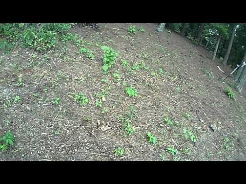 Whites TDI Detector Coin Setting's