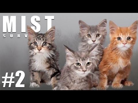 เรื่องของแมวที่หายไป - Mist Survival #2