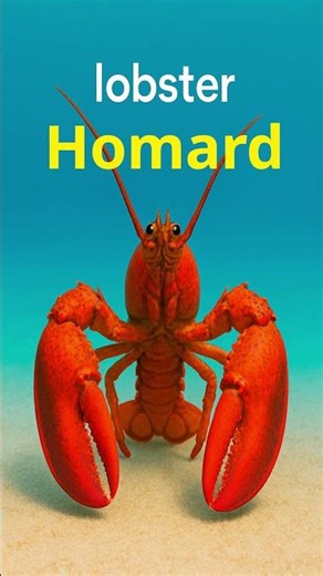 Do you know “Requin-tigre”? Learn sea animals in French 🇫🇷 #shorts