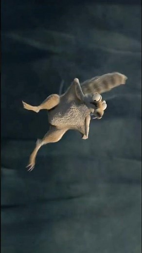 She Took The Acorn 😭💔