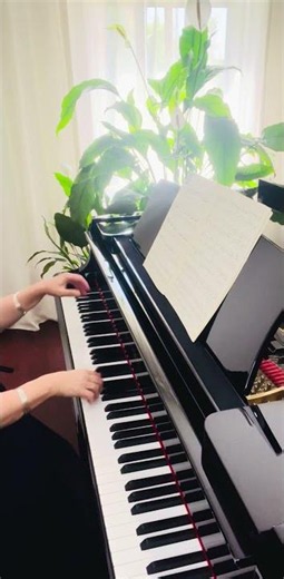 J.Haydn Sonata Sol Maior K.G.N°11 Presto(1/2)#pianoalla #piano #música #piano education