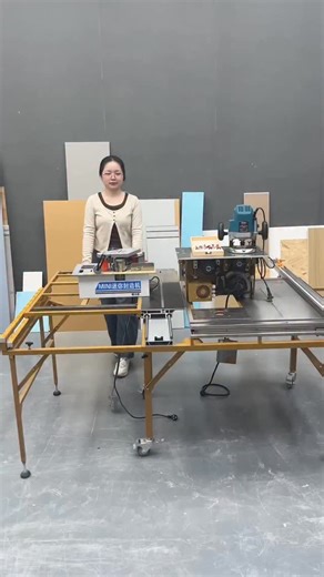 Precision Wood Cutting with Sliding Table Saw | Woodworking in Action #slidingtablesaw #woodworking | SN Tools