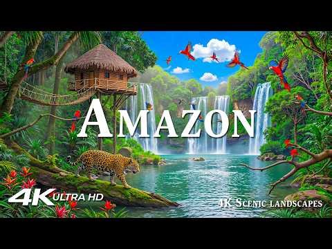 Amazon Rainforest 4K | Living Heart of Earth – Endless Green, Silent Rivers & Primal Calm