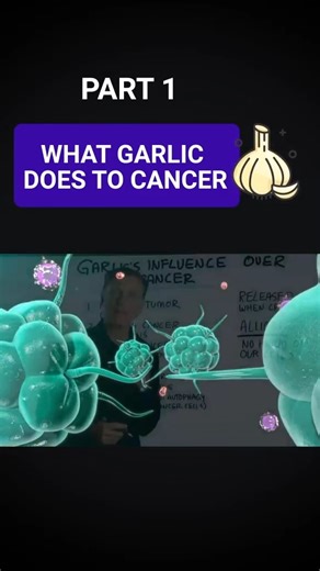 1K views · 18 reactions | WHAT GARLIC DOES TO CANCER – PART 1 Discover the powerful effects of garlic and its key compound allicin in fighting cancer. Learn how this natural food supports your health! #Garlic #Allicin #HealthBenefits #CancerFightingFoods #NaturalHealing #NutritionTips #Superfoods #HealthyLiving #FoodAsMedicine #WellnessJourney | Diet & healthy By Dr | Facebook