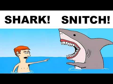 Cartoon Memes