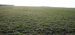 Battle of the Curragh - Alchetron, The Free Social Encyclopedia