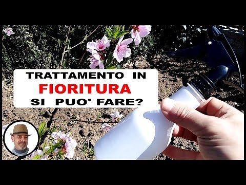 TRATTAMENTO IN FIORITURA si può fare