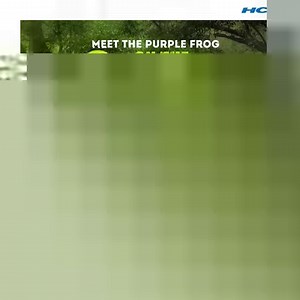 117K views · 806 reactions | India’s biodiversity hotspots are one of...