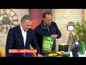 Organic Ways to Control Slugs and Snails