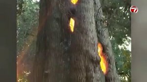 28K views · 591 reactions | Haunting images of the California...