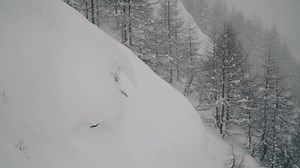 92K views · 68 reactions | The tips you need to know to take your videography skills to the next level — with pro sports photographer & Nikon Ambassador Aurélie Gonin. These tutorials show you everything you need to know to create a video for social media. | Nikon | Facebook