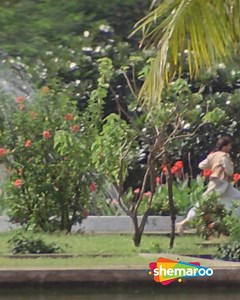 71K views · 761 reactions | Main Chhama Chham Nachoon Tu Mujhe Nacha...