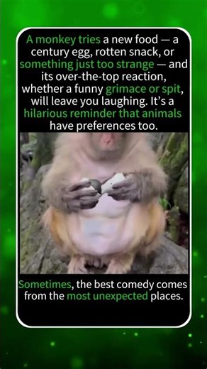 MONKEY'S DRAMATIC FOOD REJECTION