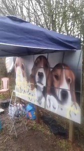 Camp Beagle on Reels