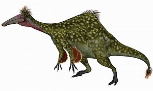 Deinocheirus